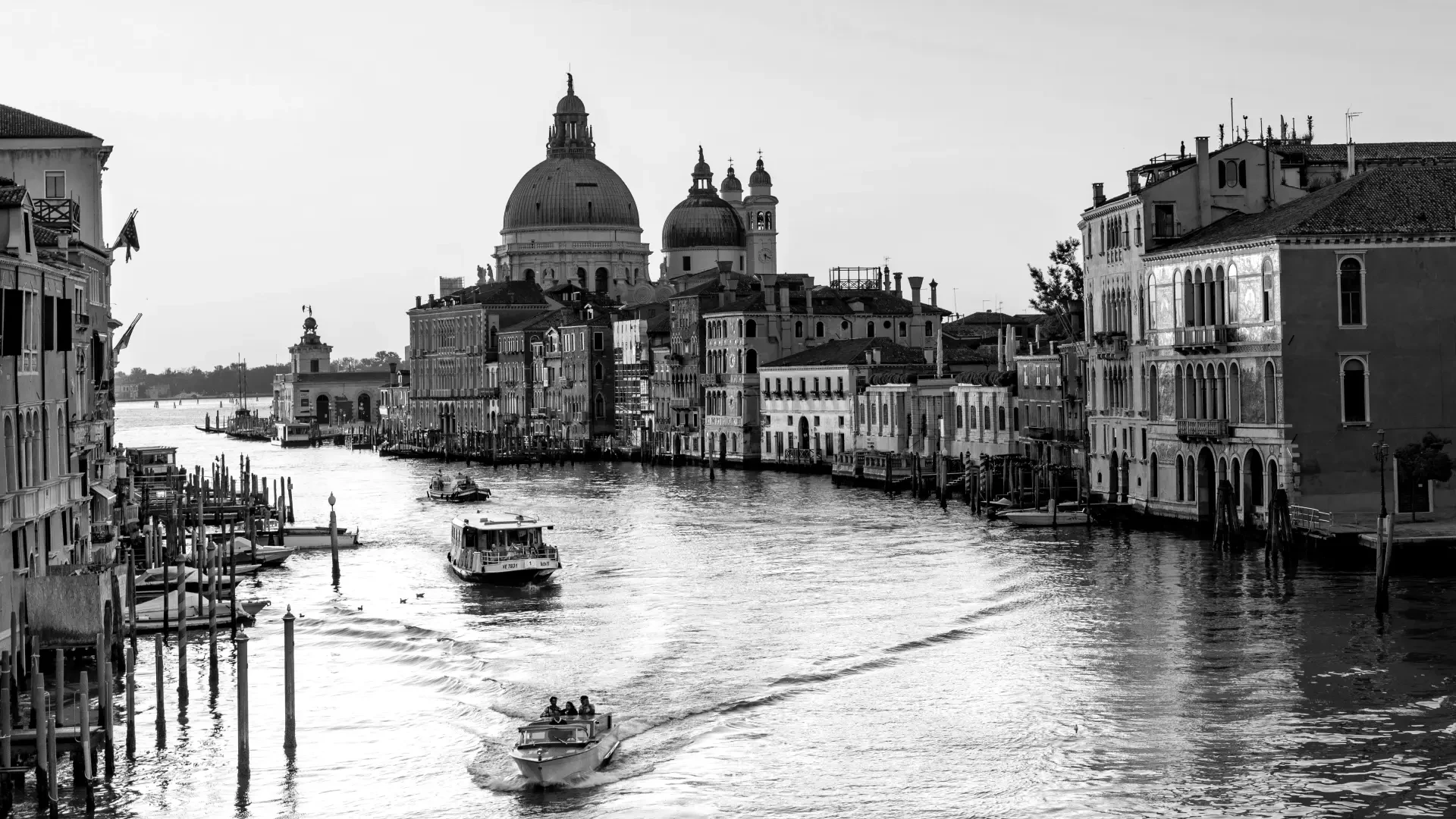Venice, seamlessly